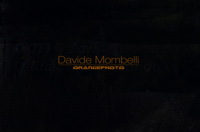 www.davidemombelli.com