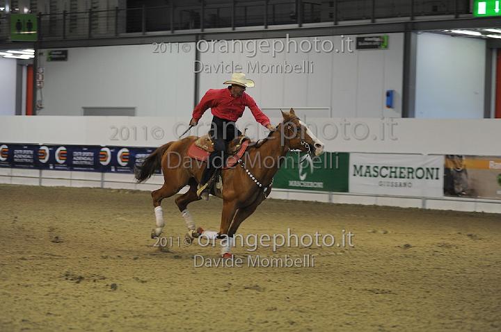 www.davidemombelli.com