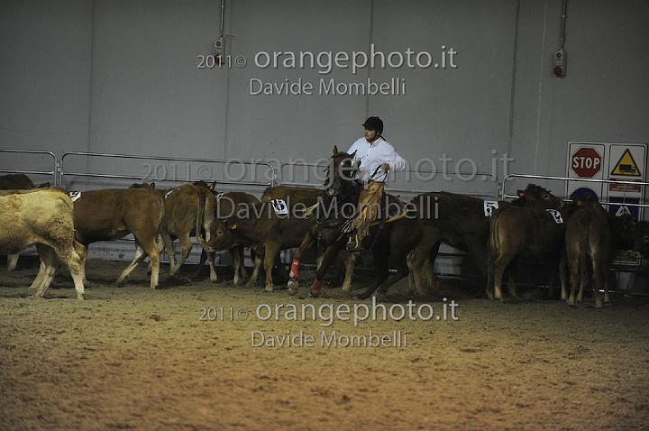 www.davidemombelli.com