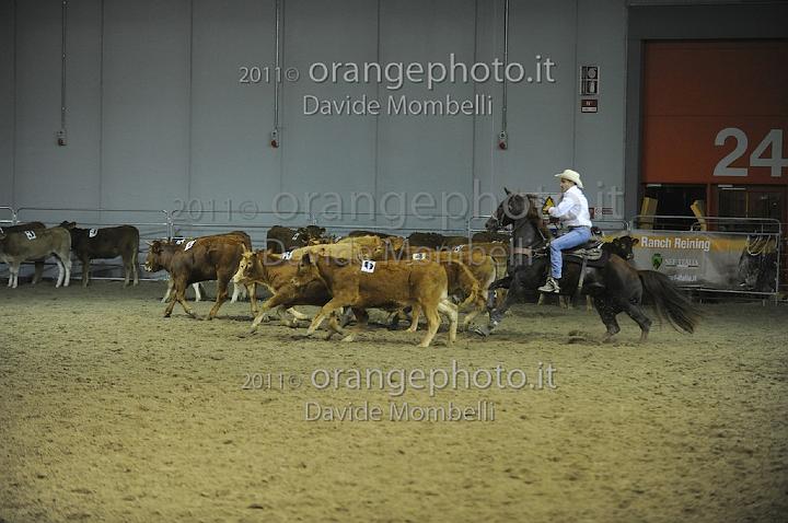 www.davidemombelli.com