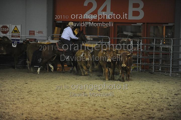 www.davidemombelli.com
