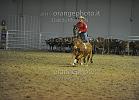 TEAM_PENNING