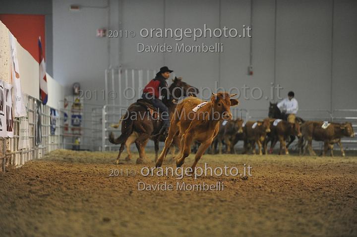 www.davidemombelli.com