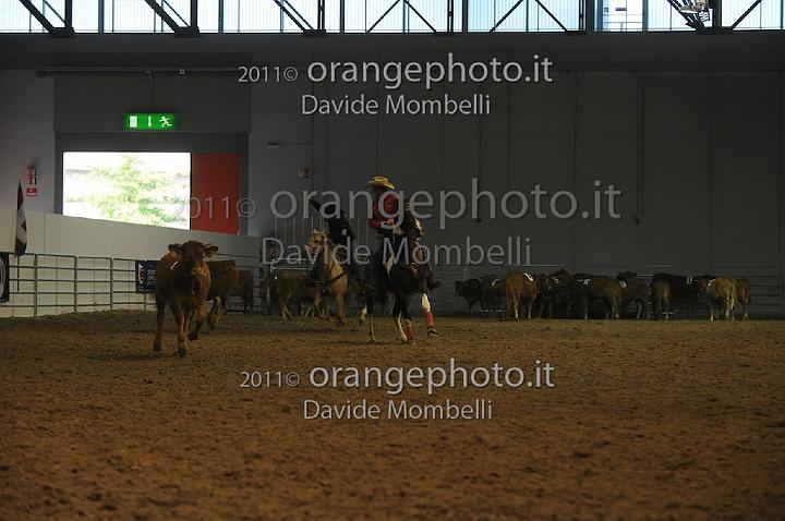 www.davidemombelli.com