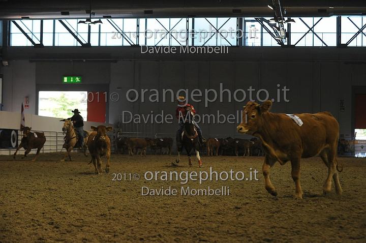 www.davidemombelli.com