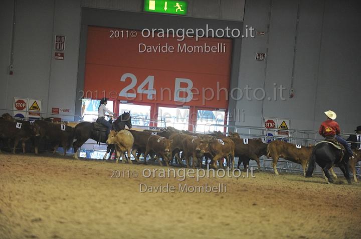www.davidemombelli.com