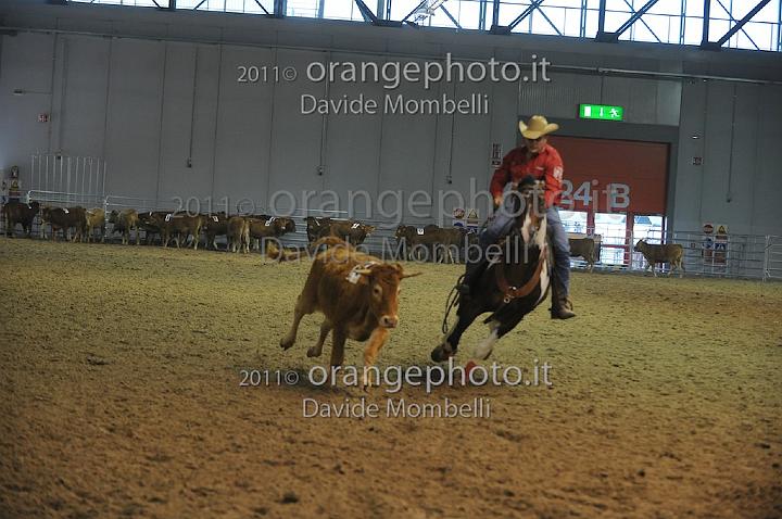 www.davidemombelli.com