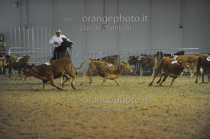 www.davidemombelli.com