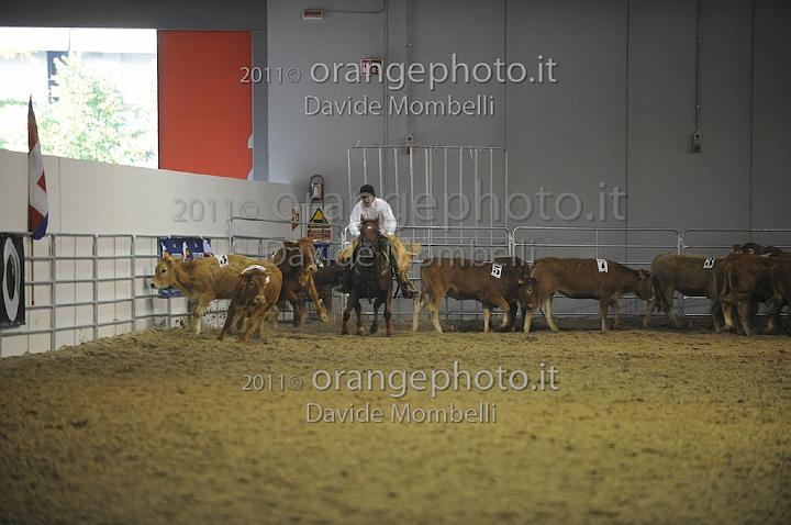 www.davidemombelli.com