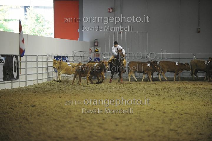 www.davidemombelli.com