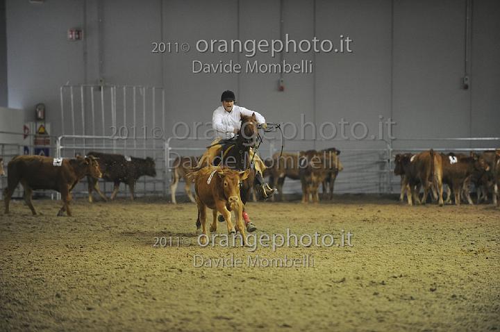 www.davidemombelli.com
