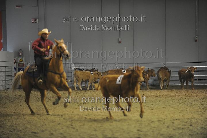 www.davidemombelli.com