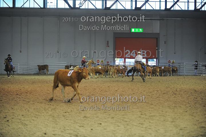 www.davidemombelli.com