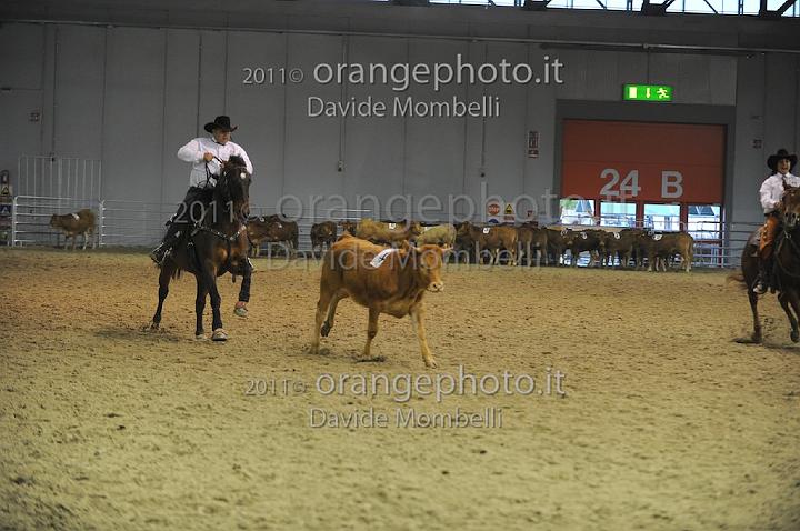 www.davidemombelli.com
