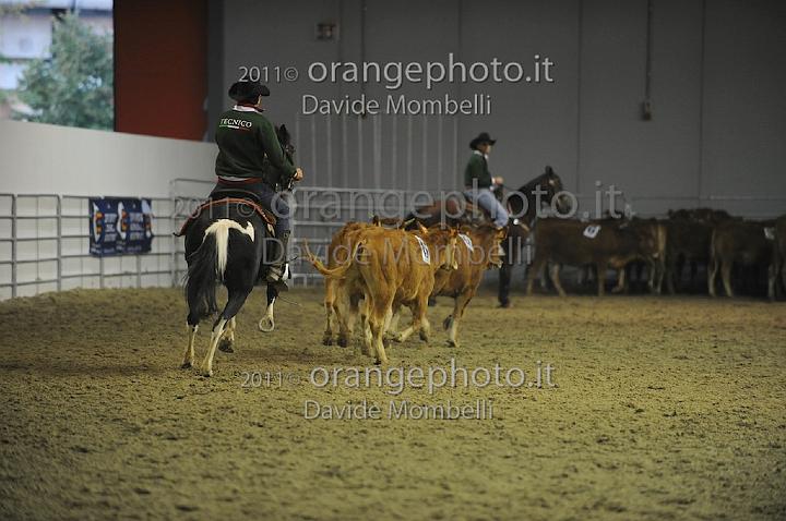 www.davidemombelli.com