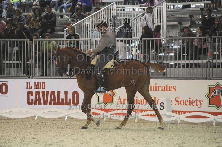 www.davidemombelli.com