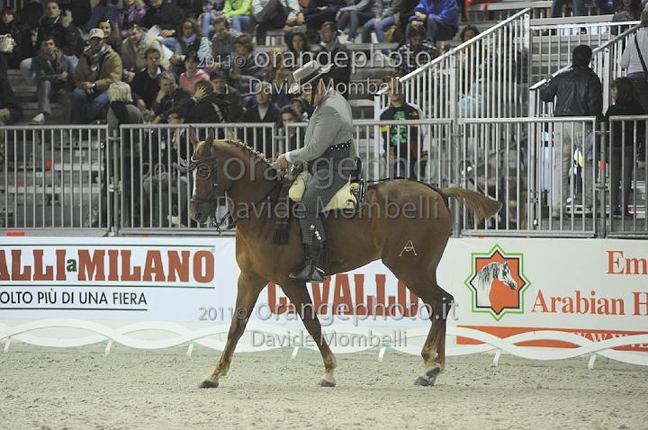 www.davidemombelli.com