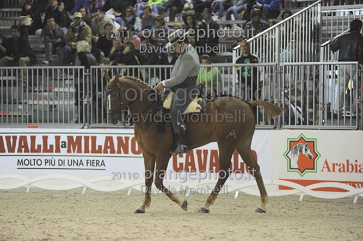 www.davidemombelli.com