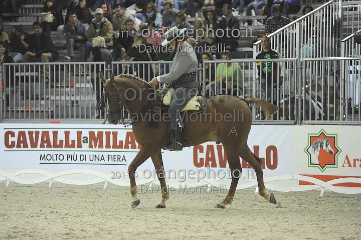 www.davidemombelli.com