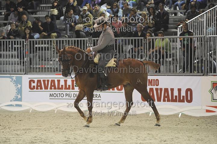www.davidemombelli.com