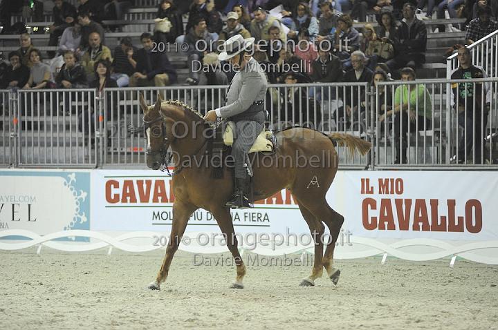 www.davidemombelli.com