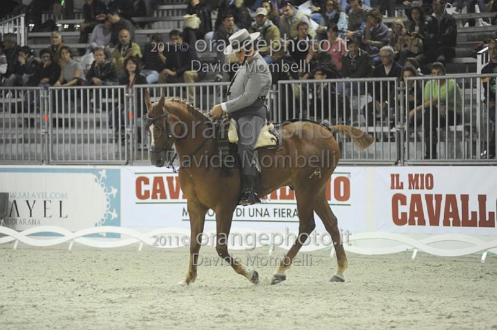 www.davidemombelli.com