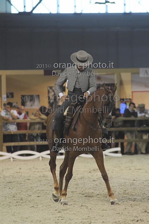 www.davidemombelli.com