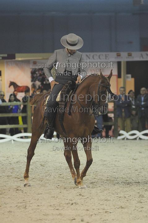 www.davidemombelli.com