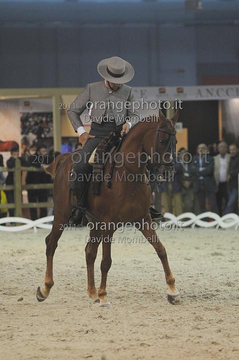 www.davidemombelli.com