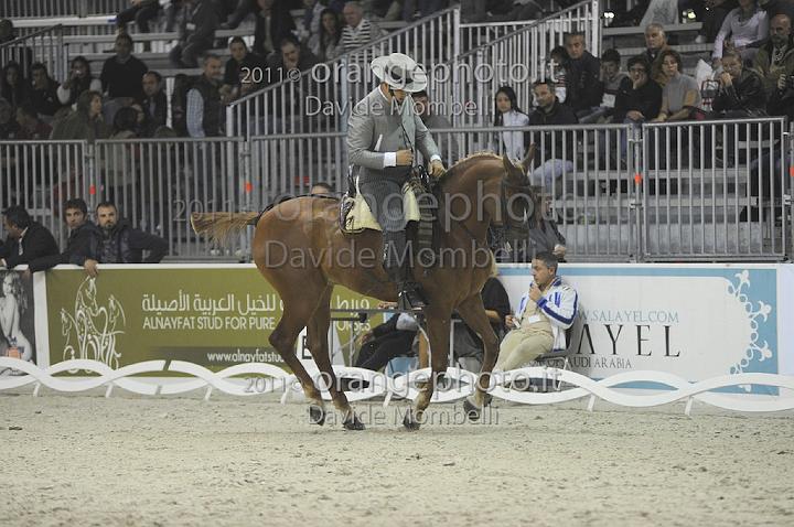 www.davidemombelli.com