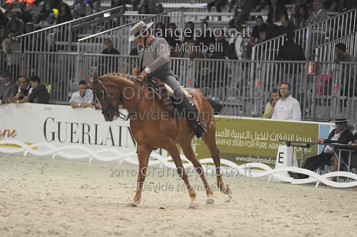 www.davidemombelli.com