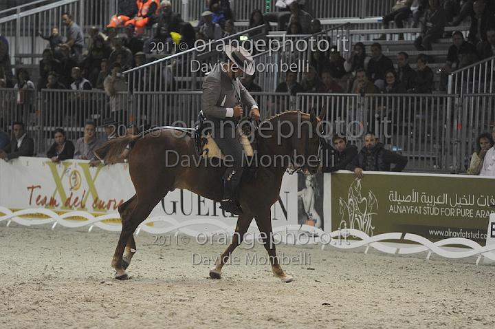 www.davidemombelli.com