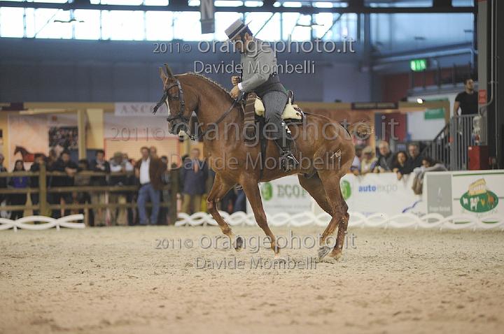 www.davidemombelli.com