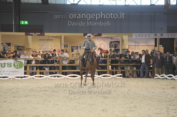 www.davidemombelli.com