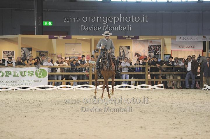 www.davidemombelli.com