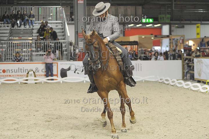 www.davidemombelli.com