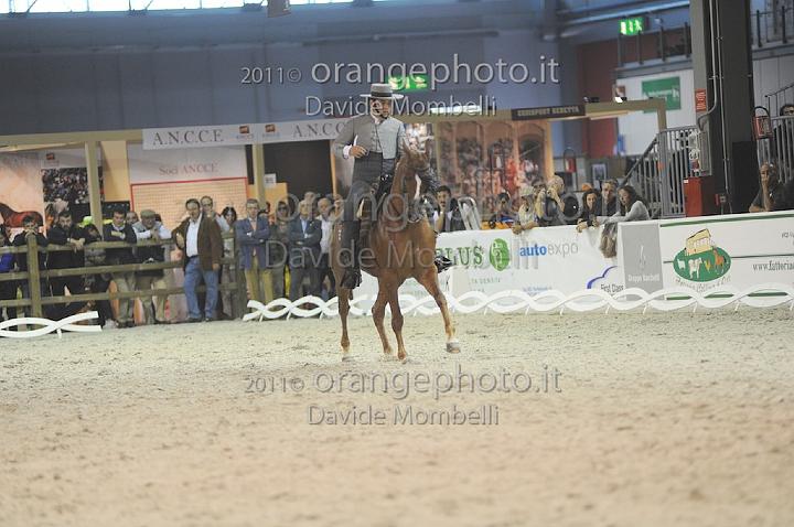 www.davidemombelli.com