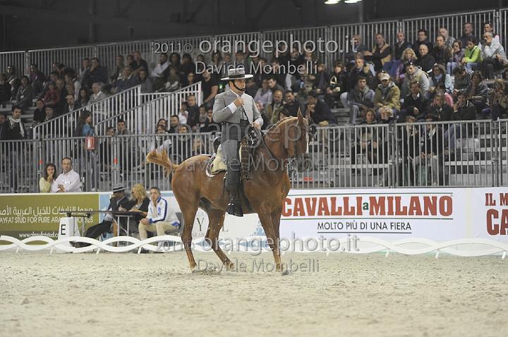 www.davidemombelli.com