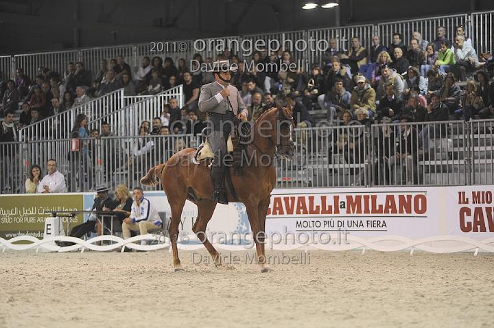 www.davidemombelli.com