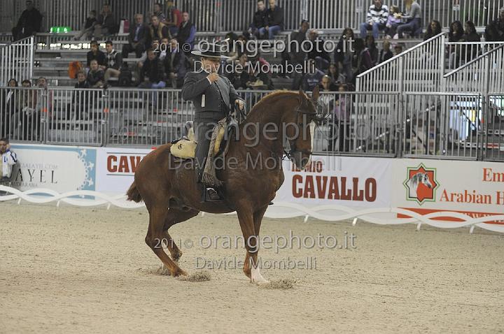 www.davidemombelli.com