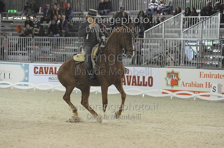 www.davidemombelli.com