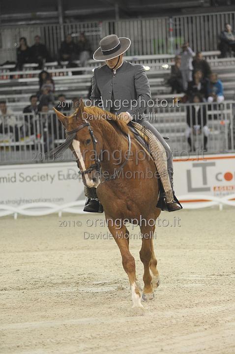 www.davidemombelli.com