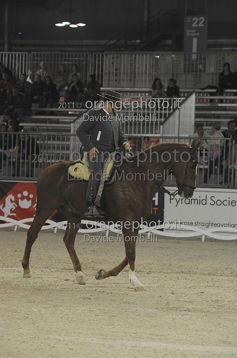 www.davidemombelli.com