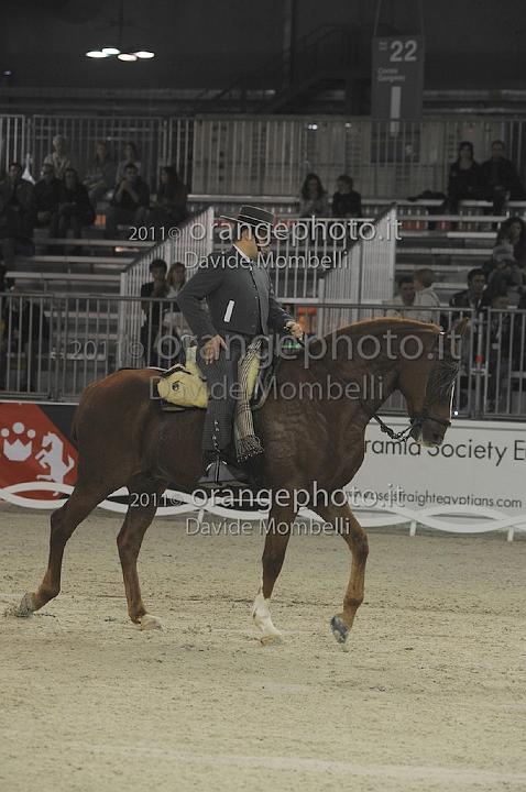 www.davidemombelli.com