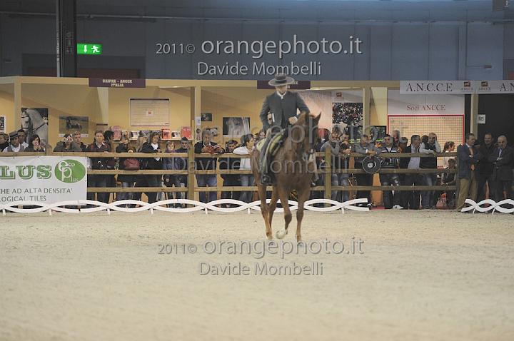 www.davidemombelli.com