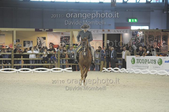 www.davidemombelli.com