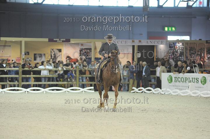www.davidemombelli.com