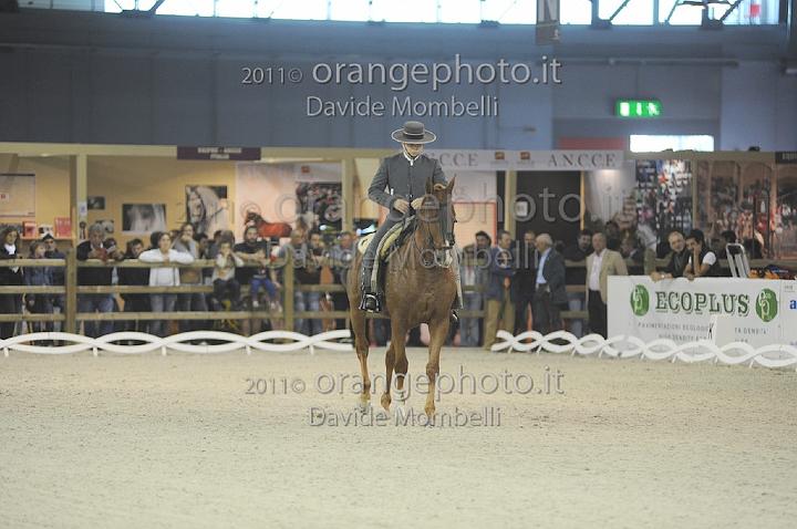 www.davidemombelli.com
