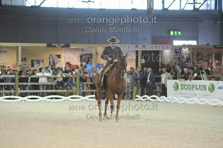 www.davidemombelli.com