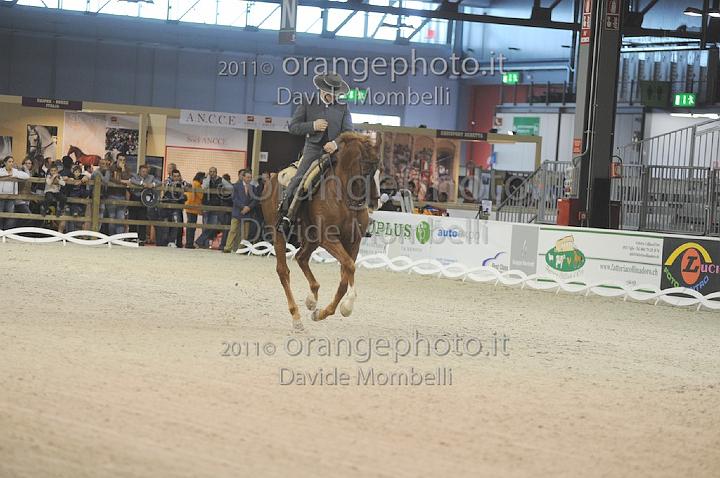 www.davidemombelli.com